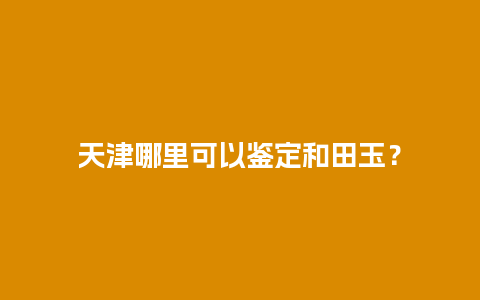 天津哪里可以鉴定和田玉？