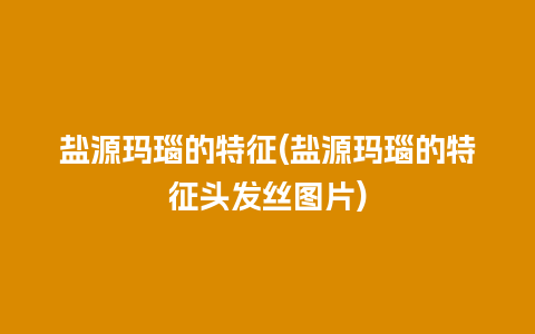 盐源玛瑙的特征(盐源玛瑙的特征头发丝图片)