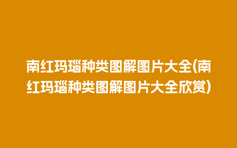 南红玛瑙种类图解图片大全(南红玛瑙种类图解图片大全欣赏)