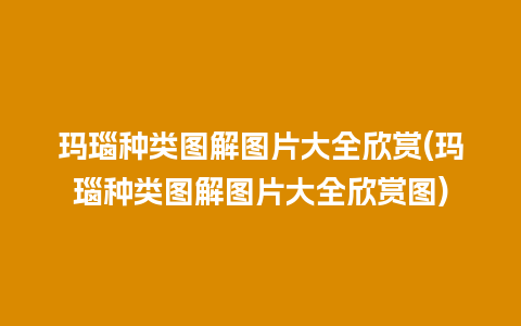 玛瑙种类图解图片大全欣赏(玛瑙种类图解图片大全欣赏图)