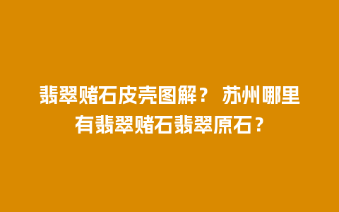 翡翠赌石皮壳图解？ 苏州哪里有翡翠赌石翡翠原石？