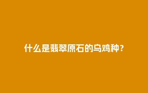 什么是翡翠原石的乌鸡种？