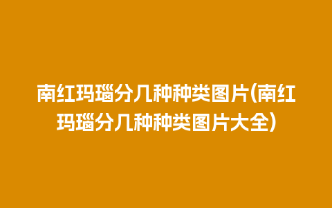 南红玛瑙分几种种类图片(南红玛瑙分几种种类图片大全)