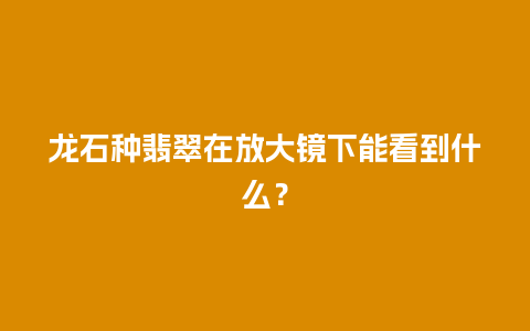 龙石种翡翠在放大镜下能看到什么？