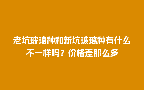 老坑玻璃种和新坑玻璃种有什么不一样吗？价格差那么多