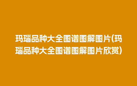 玛瑙品种大全图谱图解图片(玛瑙品种大全图谱图解图片欣赏)