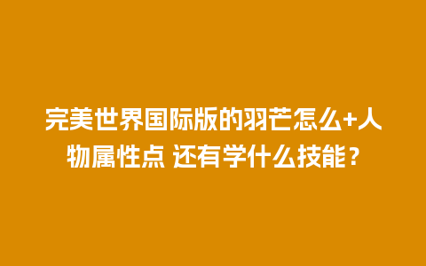 完美世界国际版的羽芒怎么+人物属性点 还有学什么技能？