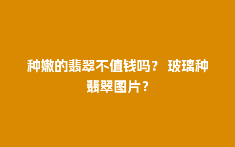 种嫩的翡翠不值钱吗？ 玻璃种翡翠图片？