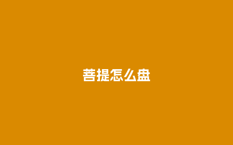 菩提怎么盘