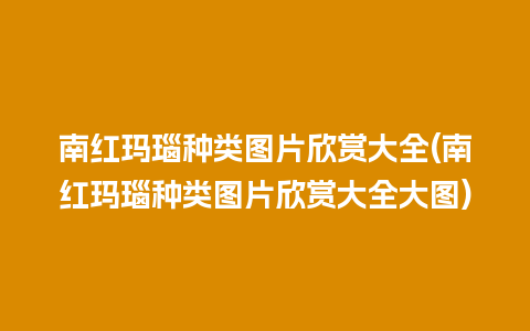 南红玛瑙种类图片欣赏大全(南红玛瑙种类图片欣赏大全大图)