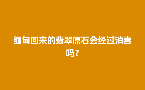 缅甸回来的翡翠原石会经过消毒吗？