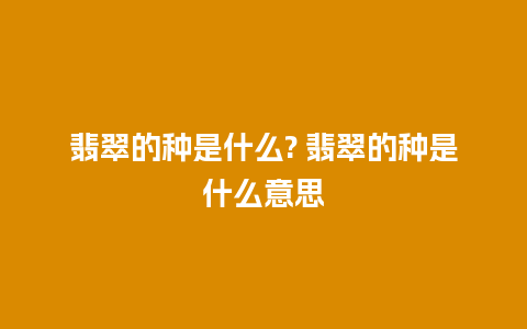 翡翠的种是什么? 翡翠的种是什么意思