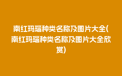 南红玛瑙种类名称及图片大全(南红玛瑙种类名称及图片大全欣赏)