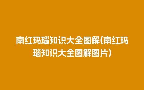 南红玛瑙知识大全图解(南红玛瑙知识大全图解图片)