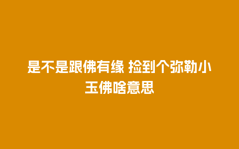 是不是跟佛有缘 捡到个弥勒小玉佛啥意思