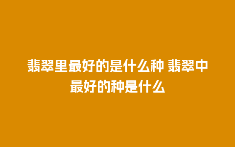 翡翠里最好的是什么种 翡翠中最好的种是什么