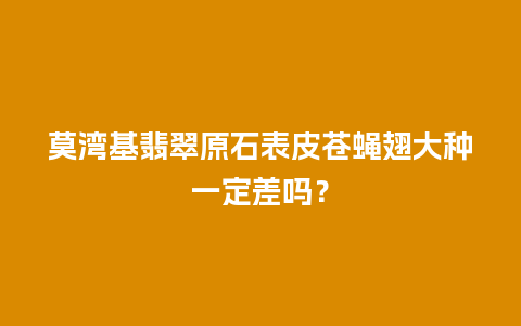 莫湾基翡翠原石表皮苍蝇翅大种一定差吗？