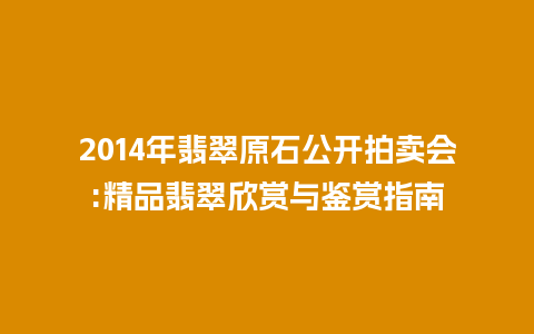 2014年翡翠原石公开拍卖会:精品翡翠欣赏与鉴赏指南