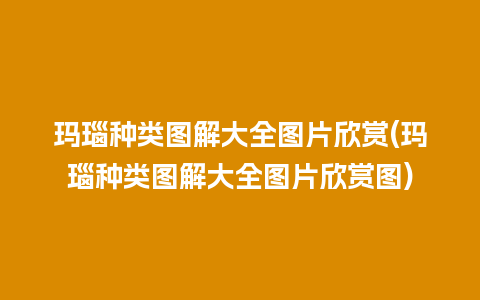 玛瑙种类图解大全图片欣赏(玛瑙种类图解大全图片欣赏图)