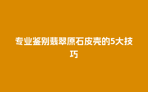 专业鉴别翡翠原石皮壳的5大技巧