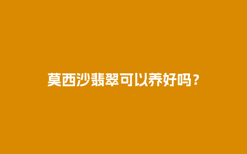 莫西沙翡翠可以养好吗？