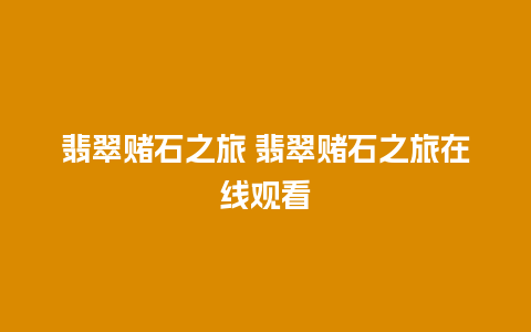 翡翠赌石之旅 翡翠赌石之旅在线观看