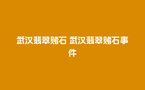 武汉翡翠赌石 武汉翡翠赌石事件