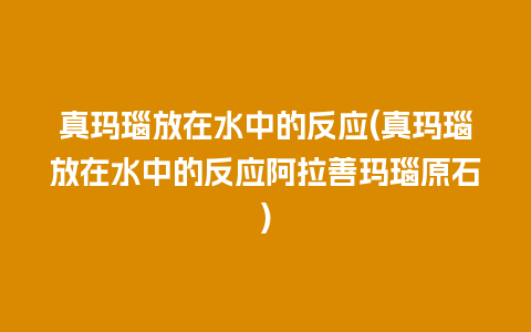 真玛瑙放在水中的反应(真玛瑙放在水中的反应阿拉善玛瑙原石)