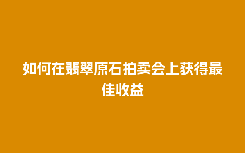 如何在翡翠原石拍卖会上获得最佳收益