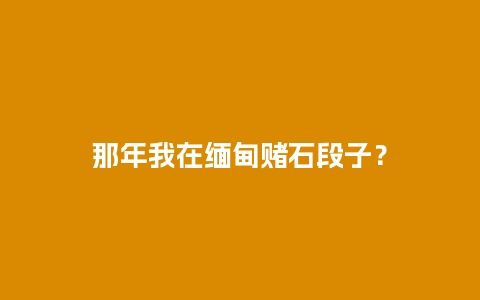 那年我在缅甸赌石段子？
