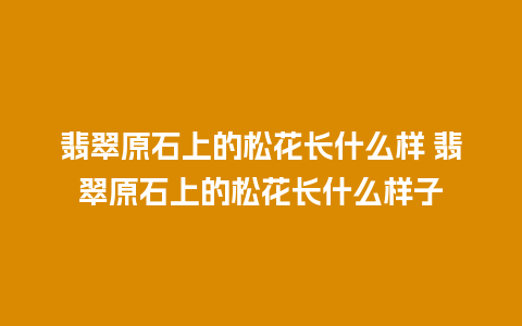 翡翠原石上的松花长什么样 翡翠原石上的松花长什么样子