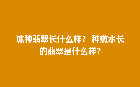 冰种翡翠长什么样？ 种嫩水长的翡翠是什么样？