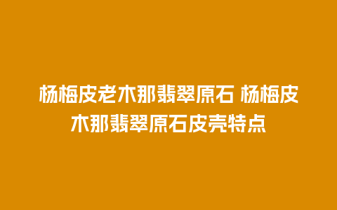 杨梅皮老木那翡翠原石 杨梅皮木那翡翠原石皮壳特点