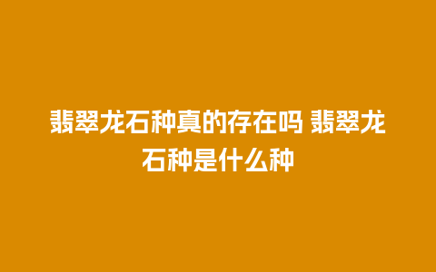 翡翠龙石种真的存在吗 翡翠龙石种是什么种