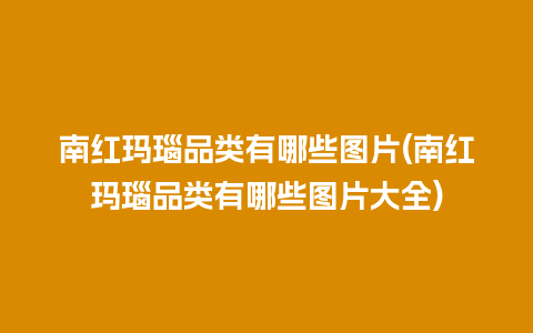 南红玛瑙品类有哪些图片(南红玛瑙品类有哪些图片大全)