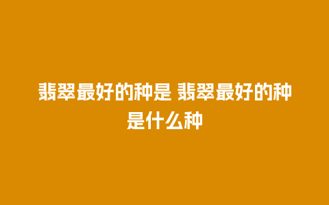 翡翠最好的种是 翡翠最好的种是什么种