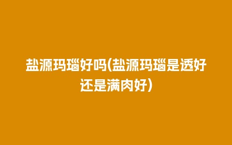 盐源玛瑙好吗(盐源玛瑙是透好还是满肉好)