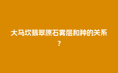 大马坎翡翠原石雾层和种的关系？