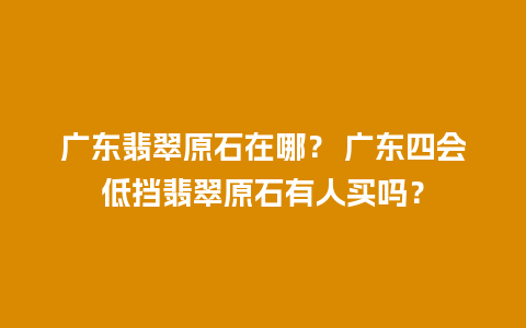 广东翡翠原石在哪？ 广东四会低挡翡翠原石有人买吗？