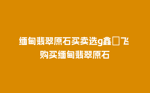 缅甸翡翠原石买卖选g鑫劦飞 购买缅甸翡翠原石