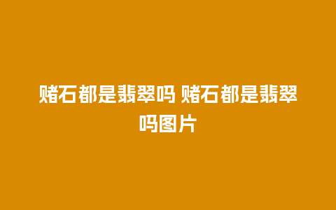 赌石都是翡翠吗 赌石都是翡翠吗图片