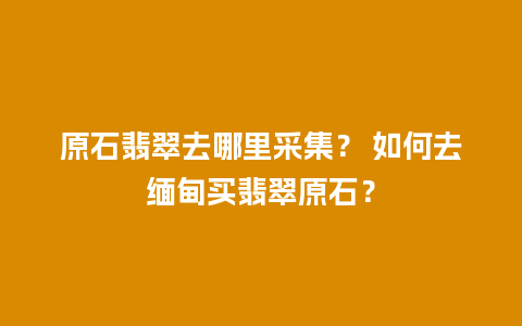 原石翡翠去哪里采集？ 如何去缅甸买翡翠原石？