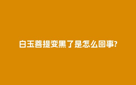 白玉菩提变黑了是怎么回事?