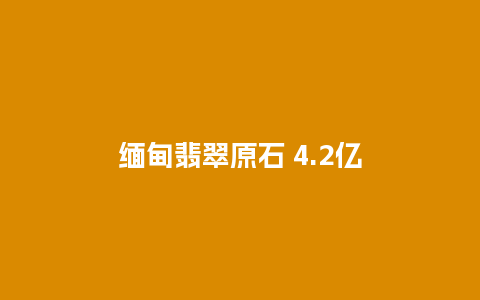 缅甸翡翠原石 4.2亿