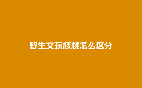 野生文玩核桃怎么区分