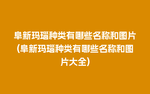 阜新玛瑙种类有哪些名称和图片(阜新玛瑙种类有哪些名称和图片大全)