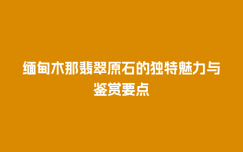 缅甸木那翡翠原石的独特魅力与鉴赏要点