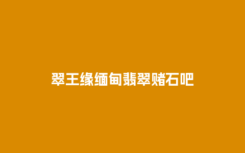 翠王缘缅甸翡翠赌石吧