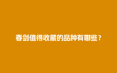 春剑值得收藏的品种有哪些？