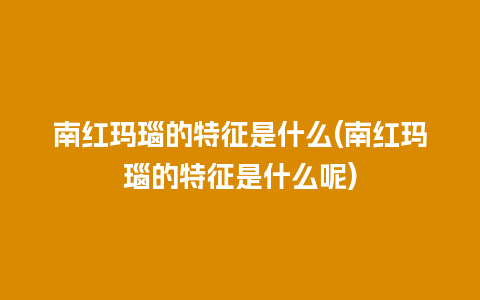 南红玛瑙的特征是什么(南红玛瑙的特征是什么呢)